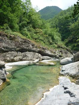 torrente argentina 03